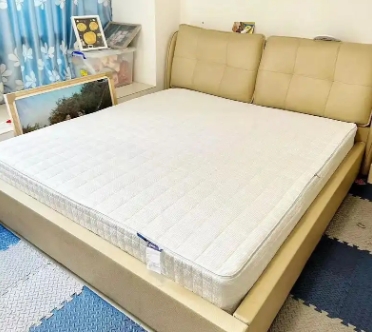 <a href=http://www.getthehelloutofdoge.com/news_article.html?news_id=174>天津床墊廠家</a>